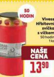 VIVESS HBITOVN SVKA S VKEM