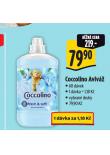 COCCOLINO AVIV