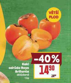 KAKI ODRDA ROYO BRILIANTE