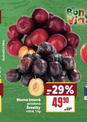 BLUMA TMAV 