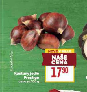 KATANY JEDL PRESTIGE