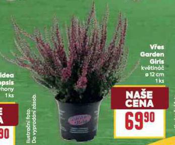 VES GARDEN GIRIS