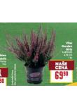 VES GARDEN GIRIS