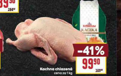 KACHNA CHLAZEN