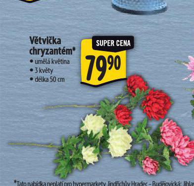 VTVIKA CHRYZANTM