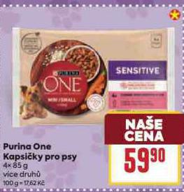PURINA ONE KAPSIKY PRO PSY