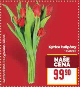 KYTICE TULIPNY