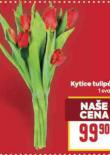 KYTICE TULIPNY