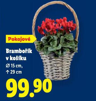 BRAMBOK V KOKU