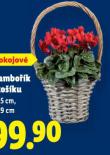 BRAMBOK V KOKU
