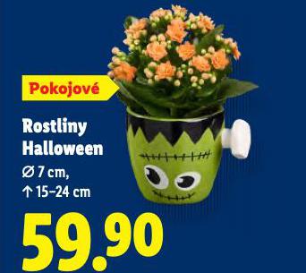 ROSTLINY HALLOWEEN
