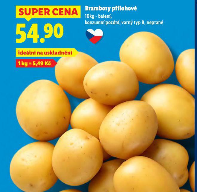 BRAMBOR PLOHOV