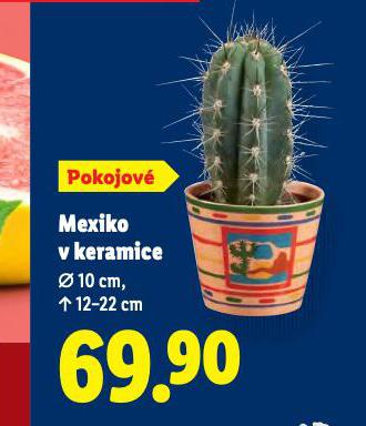 MEXIKO V KERAMICE