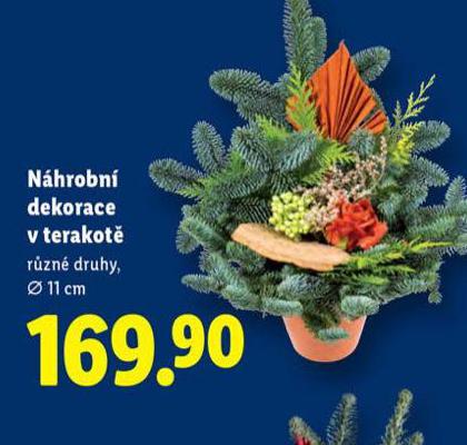NHROBN DEKORACE V TERAKOT