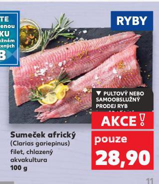 SUMEEK AFRICK