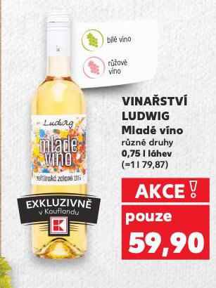 VINASTV LUDWIG