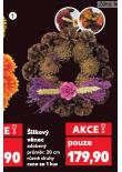 ŠIŠKOVÝ VĚNEC