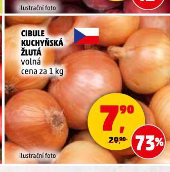 CIBULE KUCHYSK LUT