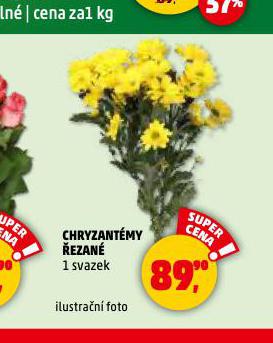 CHRYZANTMY EZAN