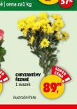 CHRYZANTMY EZAN