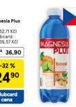 MAGNESIA PLUS