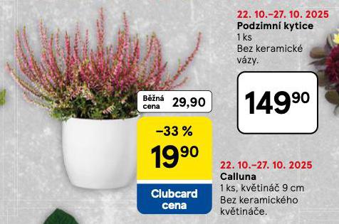 CALLUNA 