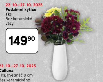 PODZIMN KYTICE
