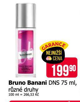 BRUNO BANANI DNS