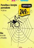 PAVUČINA S ČERNÝM PAVOUKEM