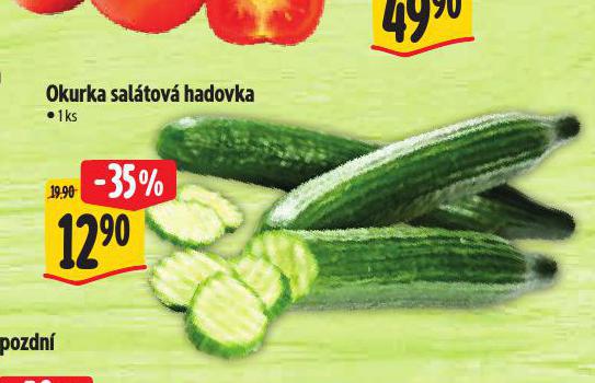 OKURKA SALTOV HADOVKA