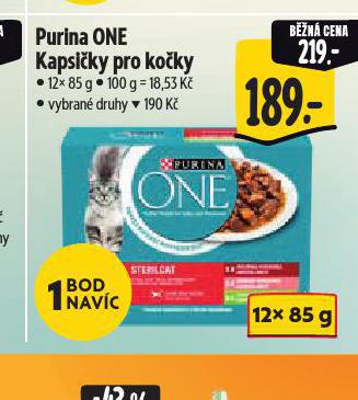 PURINA ONE KAPSIKY PRO KOKY