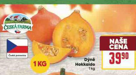 DN HOKKAIDO