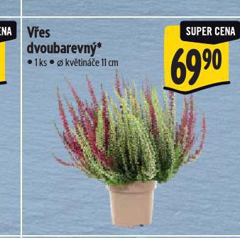 VES DVOUBAREVN