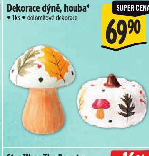 DEKORACE DÝNĚ, HOUBA