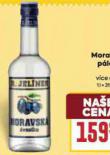 MORAVSK PLENKA