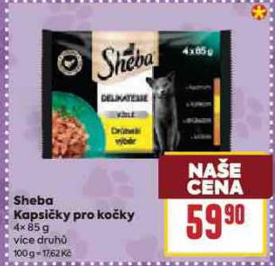 SHEBA KAPSIKY PRO KOKY