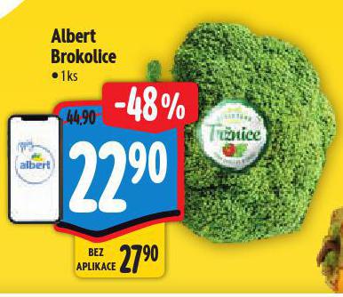 ALBERT BROKOLICE