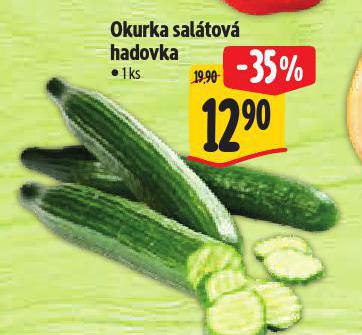OKURKA SALTOV HADOVKA
