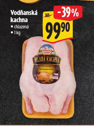 VODANSK KACHNA