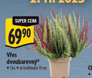 VES DVOUBAREVN