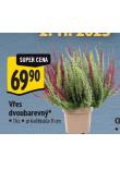 VES DVOUBAREVN