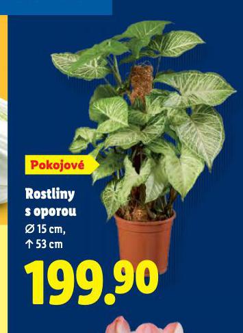 ROSTLINY S OPOROU
