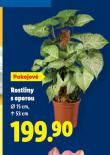 ROSTLINY S OPOROU
