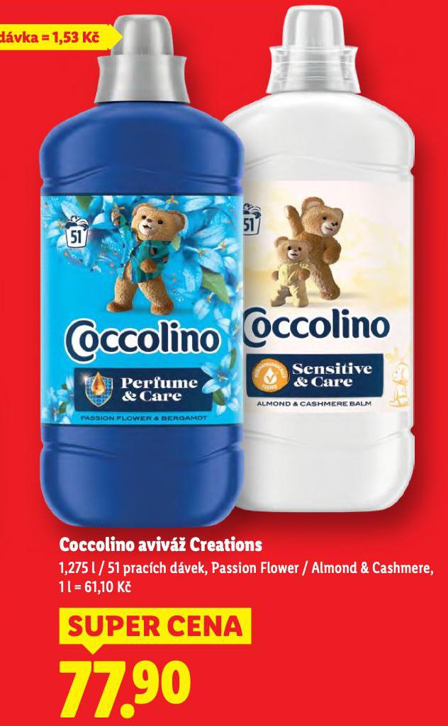 COCCOLINO AVIV