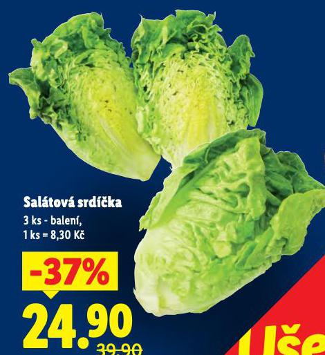 SALTOV SRDKA