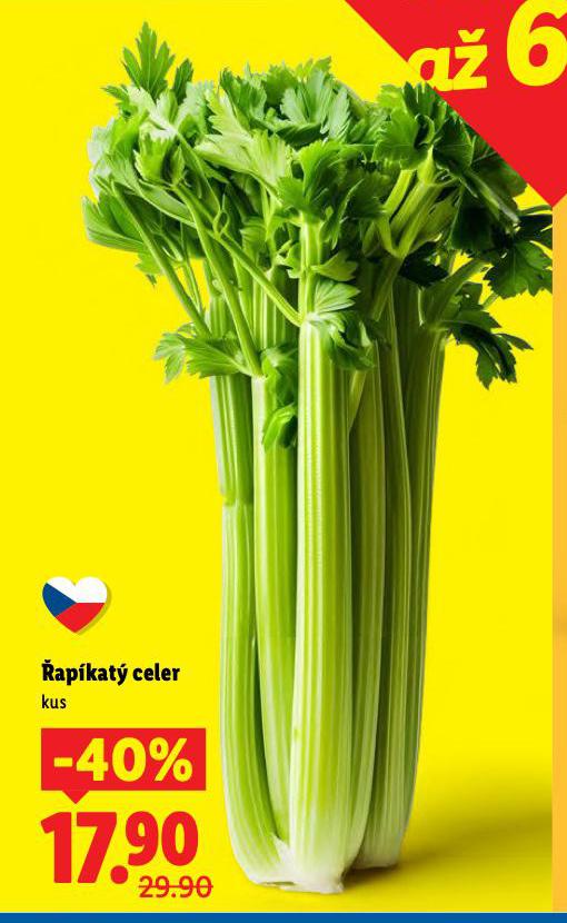 APKAT CELER