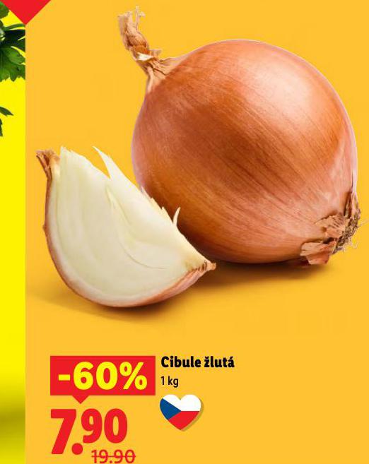 CIBULE LUT