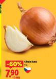CIBULE LUT