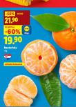 MANDARINKY