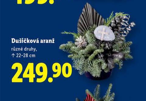 DUIKOV ARAN